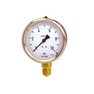 PG-Tek Bourdon Tube Pressure Gauge (SS/Brass,0 to 10 Bar/150 PSI)